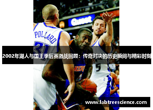 2002年湖人与国王季后赛激战回顾：传奇对决的历史瞬间与精彩时刻