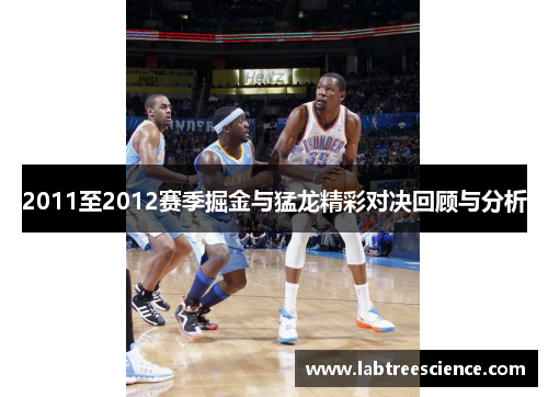 2011至2012赛季掘金与猛龙精彩对决回顾与分析
