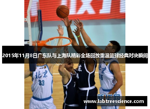 2015年11月8日广东队与上海队精彩全场回放重温篮球经典对决瞬间