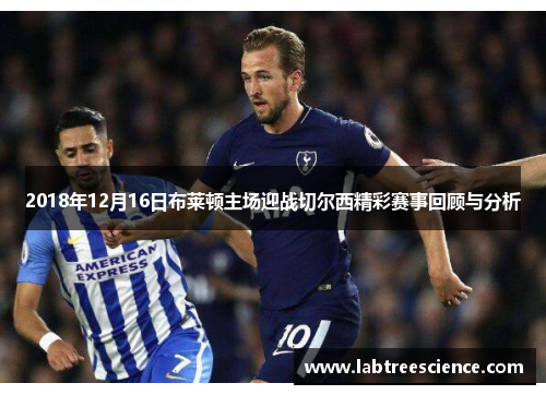 2018年12月16日布莱顿主场迎战切尔西精彩赛事回顾与分析