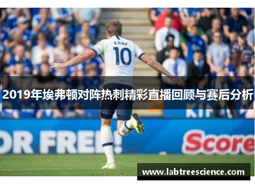 2019年埃弗顿对阵热刺精彩直播回顾与赛后分析