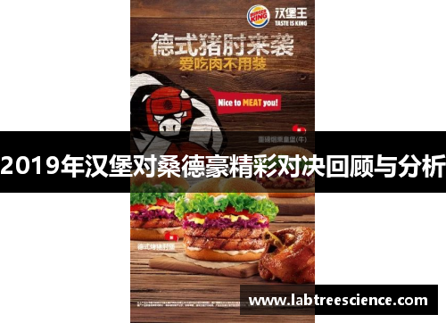 2019年汉堡对桑德豪精彩对决回顾与分析