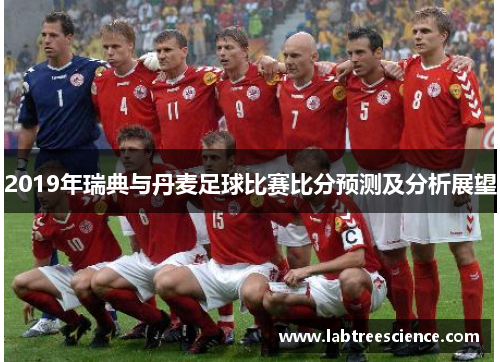 2019年瑞典与丹麦足球比赛比分预测及分析展望