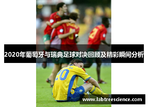 2020年葡萄牙与瑞典足球对决回顾及精彩瞬间分析