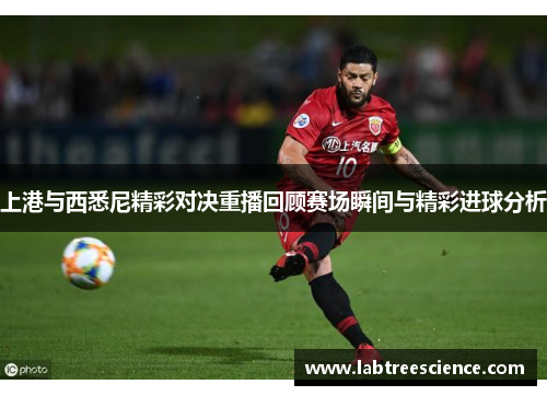 上港与西悉尼精彩对决重播回顾赛场瞬间与精彩进球分析