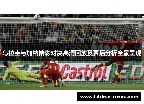 乌拉圭与加纳精彩对决高清回放及赛后分析全景呈现
