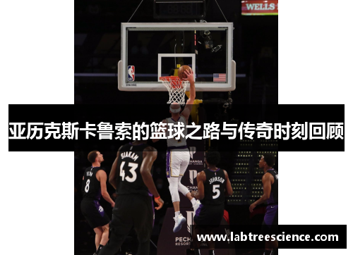 亚历克斯卡鲁索的篮球之路与传奇时刻回顾