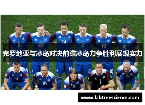 克罗地亚与冰岛对决前瞻冰岛力争胜利展现实力