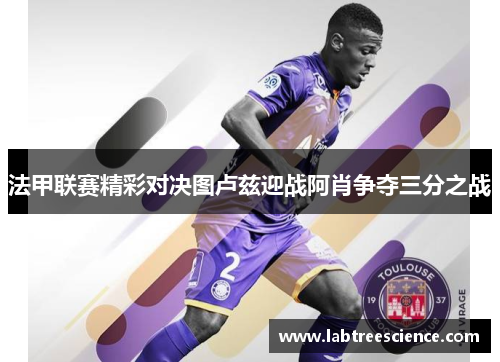 法甲联赛精彩对决图卢兹迎战阿肖争夺三分之战